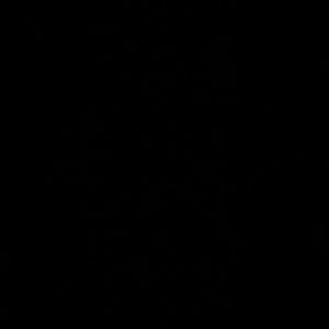 Meet your Posher, Latoya